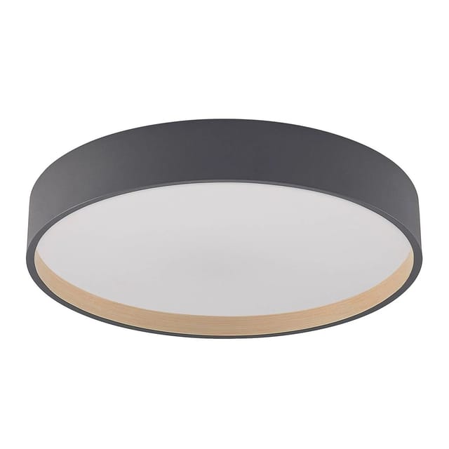 Lindby LED Deckenleuchte Todor 9924025 Dimmbar mit Leselampe Modern in Schwarz 1-flammig Wohnzimmerleuchte