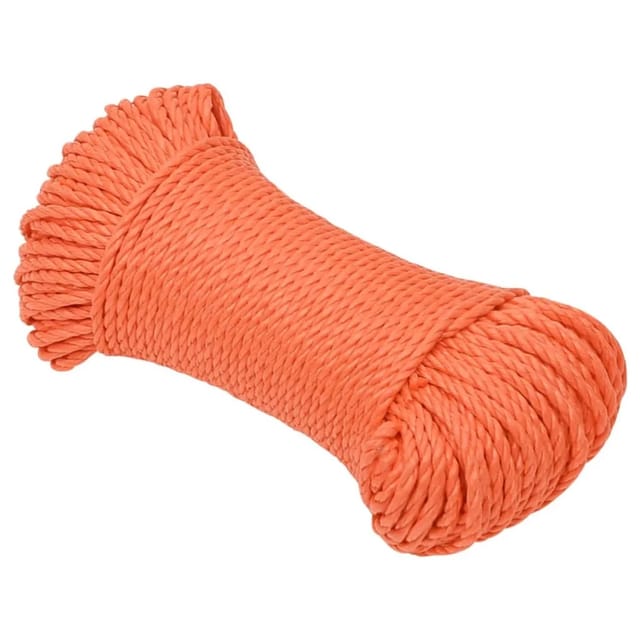 vidaXL Arbeitsseil Orange 6 mm 250 m Polypropylen 152926