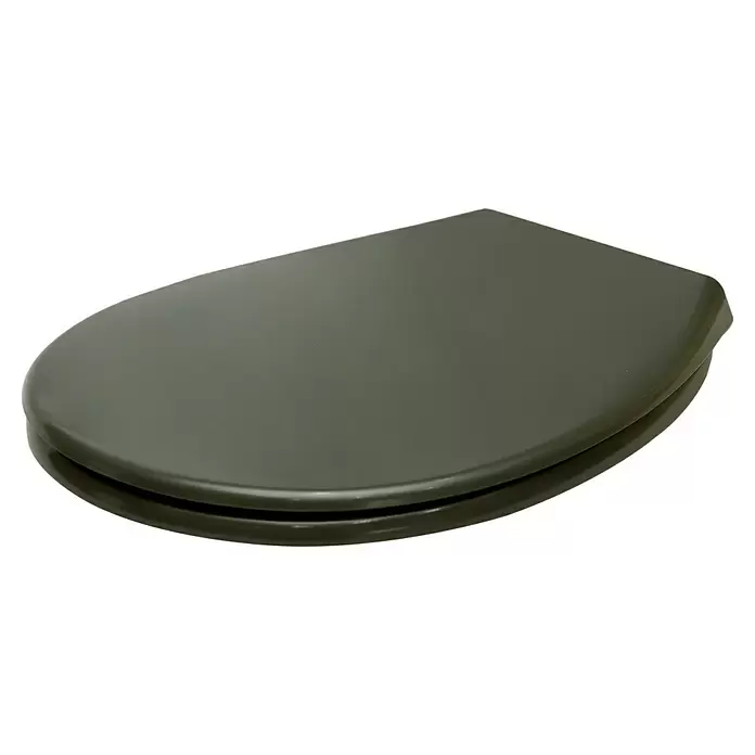 Sanicomfort WC-Sitz (Duroplast, Anthrazit, Mit Absenkautomatik)
