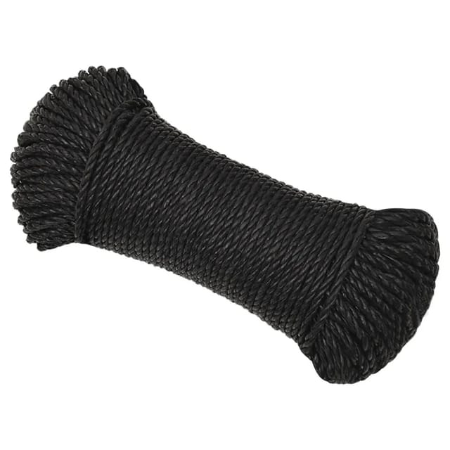 vidaXL Arbeitsseil Schwarz 6 mm 250 m Polypropylen 153004