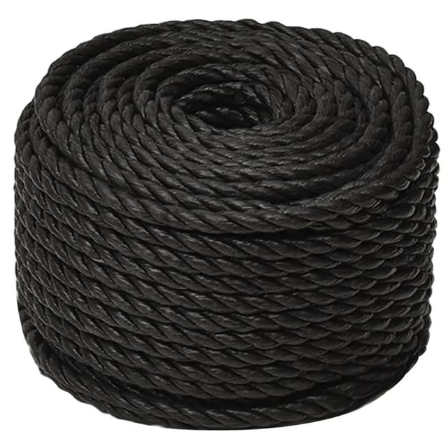 vidaXL Arbeitsseil Schwarz 12 mm 100 m Polypropylen 153018