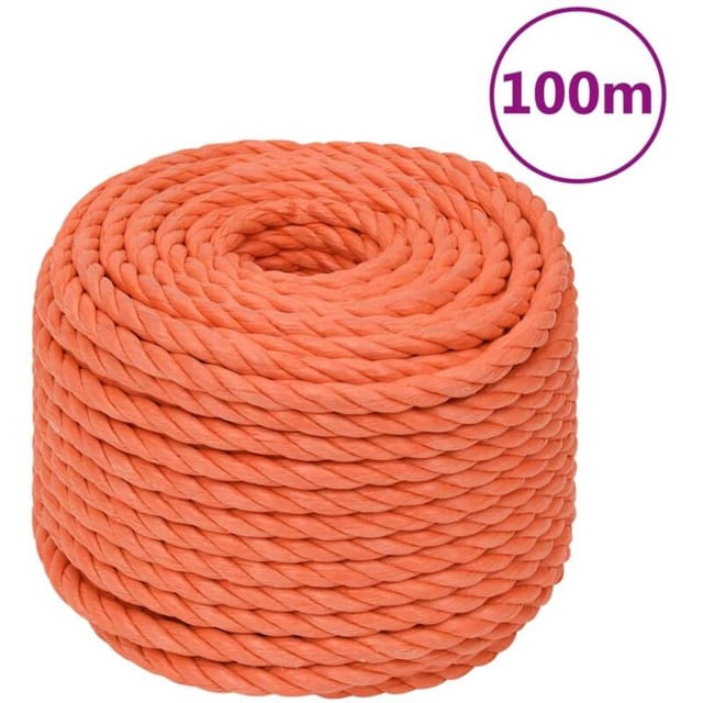 vidaXL Arbeitsseil Orange 20 mm 100 m Polypropylen 152953