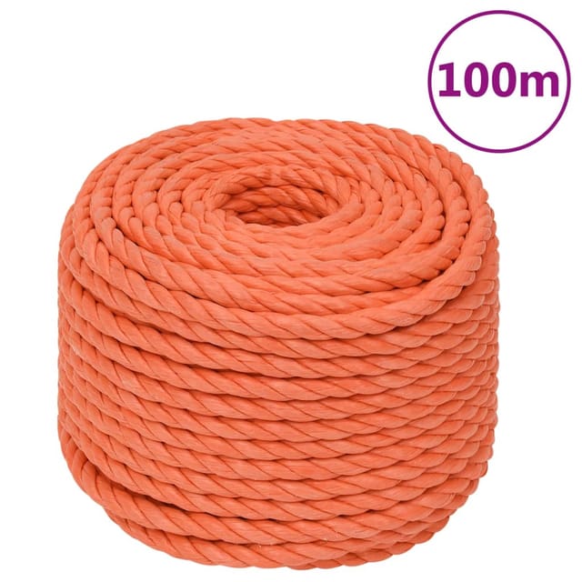 vidaXL Arbeitsseil Orange 24 mm 100 m Polypropylen 152956