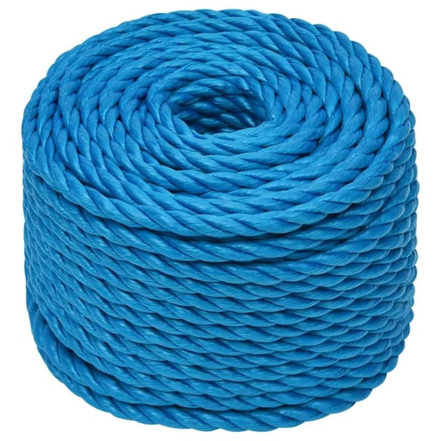 vidaXL Arbeitsseil Blau 10 mm 25 m Polypropylen 152972