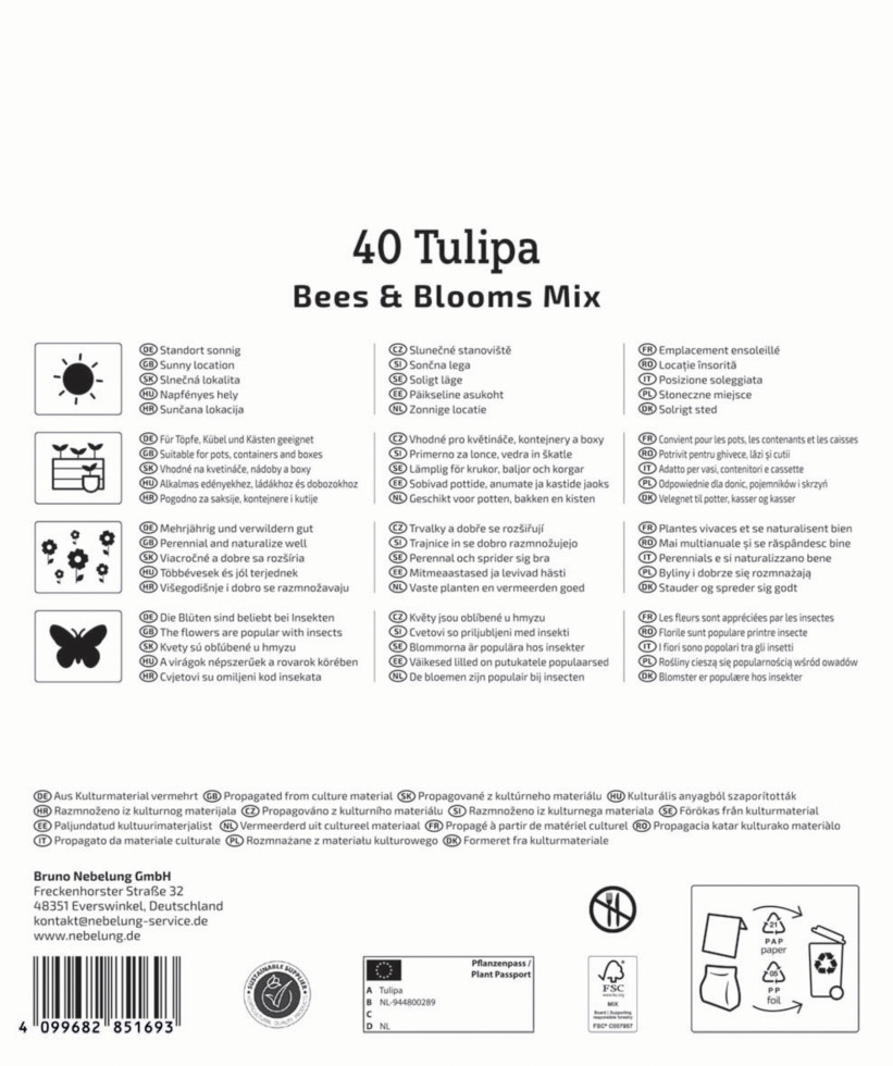 Kiepenkerl Herbstblumenzwiebelmischung Mega-Pack Bees & Blooms 40 Stück Bild 2