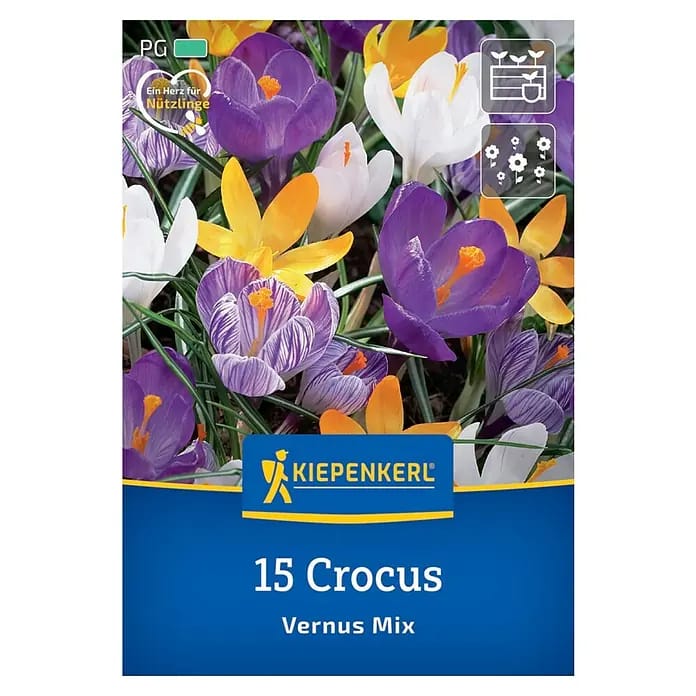 Kiepenkerl Herbstblumenzwiebel Großblumiger Krokus Mischung 15 Stück