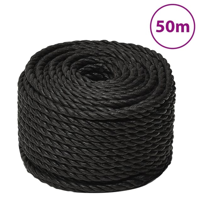 vidaXL Arbeitsseil Schwarz 20 mm 50 m Polypropylen 153030