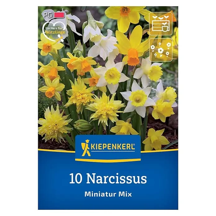 Kiepenkerl Herbstblumenzwiebel Miniatur-Narzissen Mischung 10 Stück