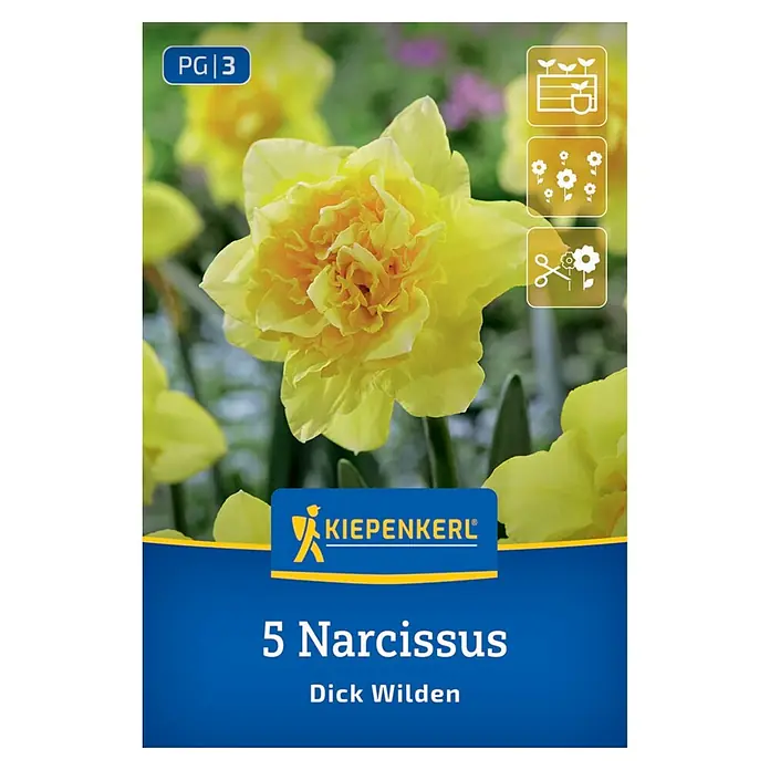 Kiepenkerl Herbstblumenzwiebel Narzisse Dick Wilden 5 Stück
