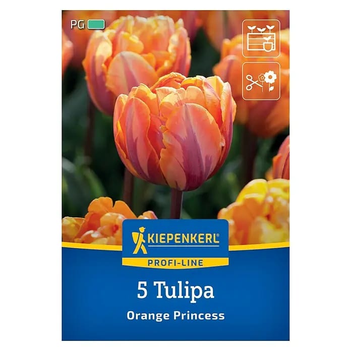 Kiepenkerl Herbstblumenzwiebel Tulpe Orange Princess 5 Stück