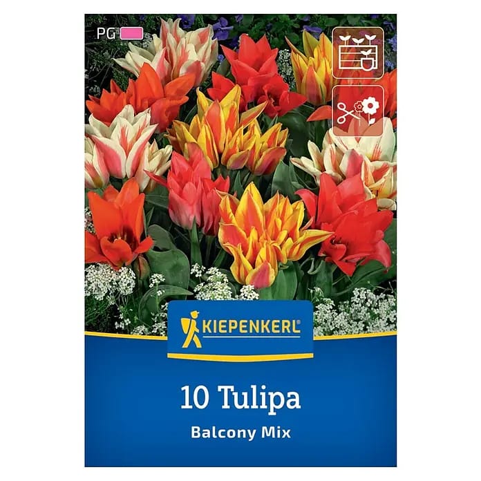 Kiepenkerl Herbstblumenzwiebel Greigii-Tulpe Balkonzauber Mix 10 Stück