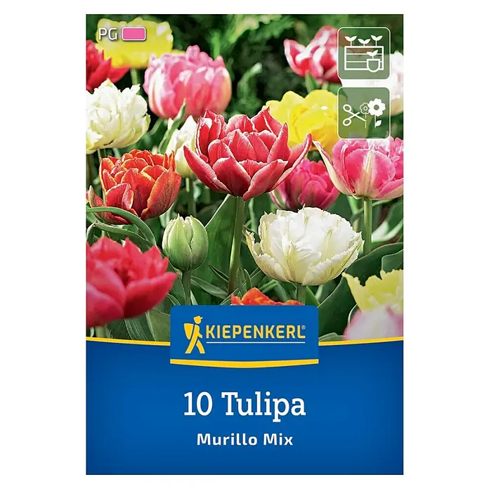 Kiepenkerl Herbstblumenzwiebel Tulpe Murillo Mix 10 Stück