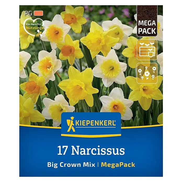 Kiepenkerl Herbstblumenzwiebel Narzissen Großkronige Narzissen Mischung 17 Stück