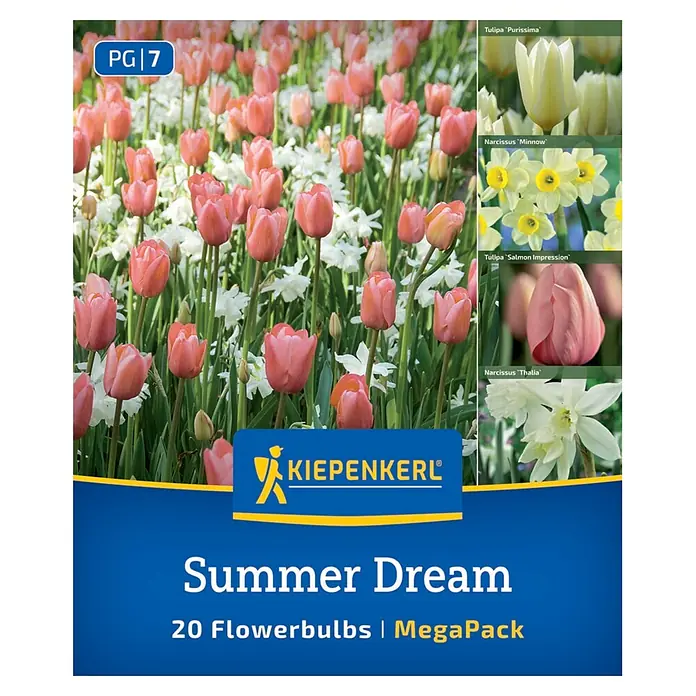 Kiepenkerl Herbstblumenzwiebel Artenmischung Summer Dream Mix 20 Stück