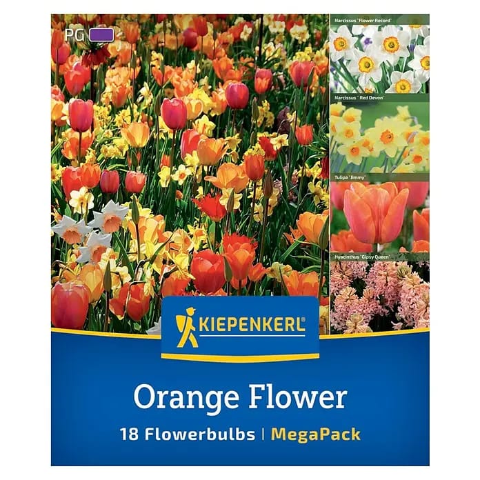Kiepenkerl Herbstblumenzwiebel Artenmischung Orange Flower Mix 18 Stück