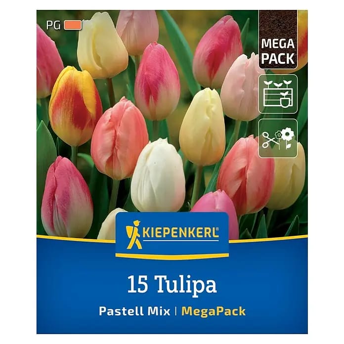 Kiepenkerl Herbstblumenzwiebel Tulpen Pastell Farbenspiel 15 Stück