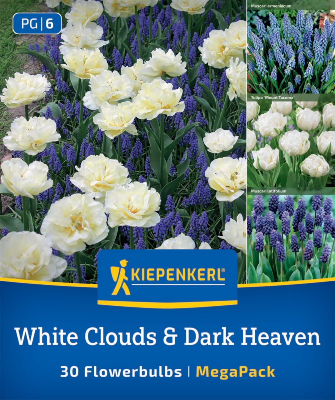 Kiepenkerl Herbstblumenzwiebel Artenmischung White Cloud & Dark Heaven Mix 30 Stück