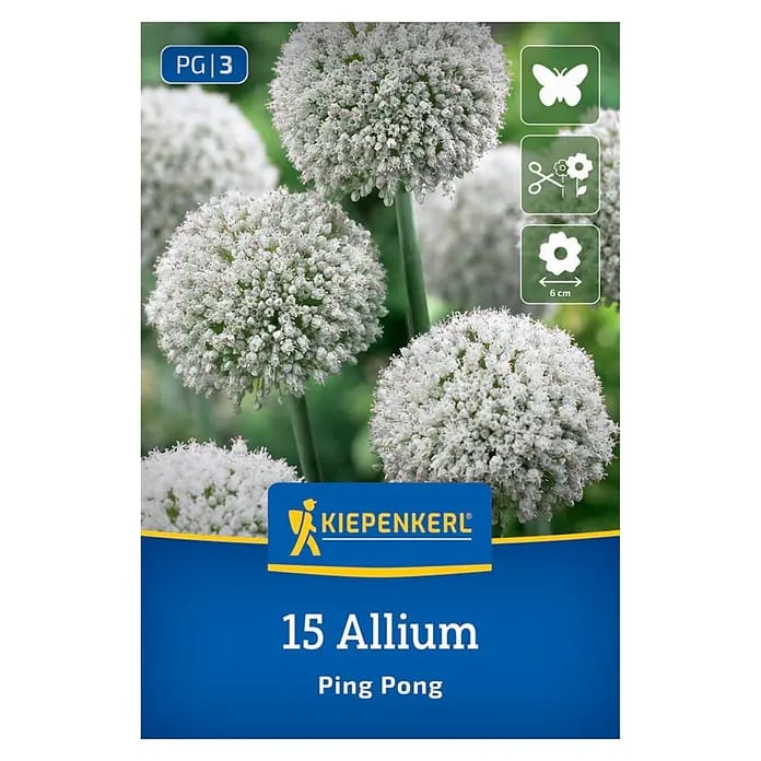 Kiepenkerl Herbstblumenzwiebel Zierlauch Allium Ping Pong 15 Stück