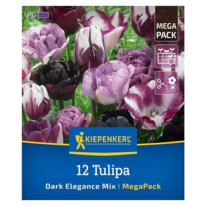 Kiepenkerl Herbstblumenzwiebel Artenmischung Dark Elegance Mix 12 Stück
