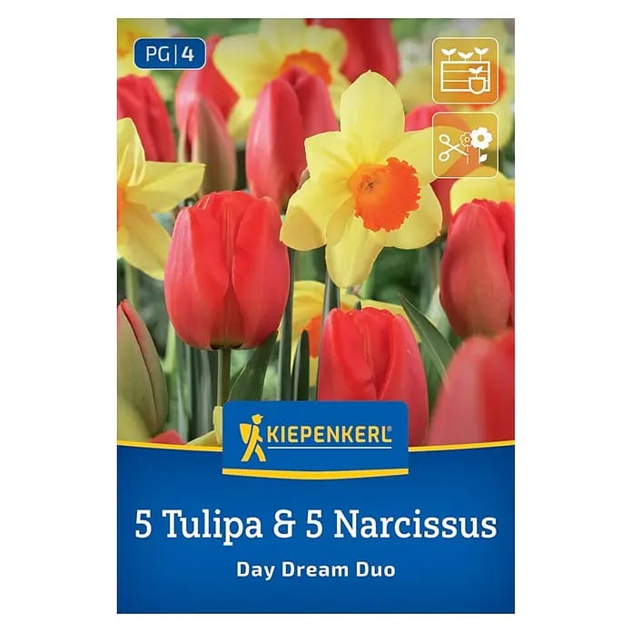 Kiepenkerl Herbstblumenzwiebel Tulpen Narzissen Day Dream Duo 10 Stück