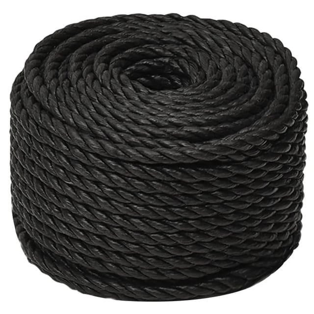vidaXL Arbeitsseil Schwarz 10 mm 100 m Polypropylen 153013