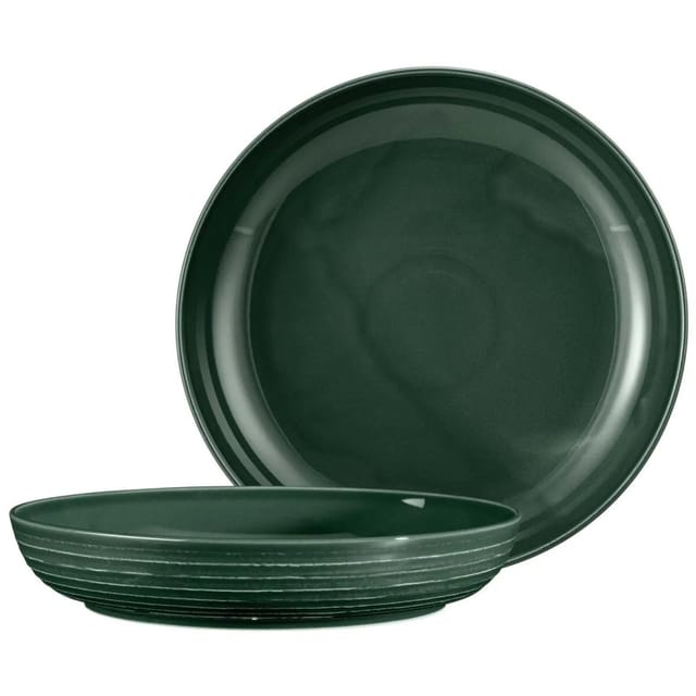 Seltmann Weiden Terra Foodbowl 28,4 cm 2er Set Moosgrün