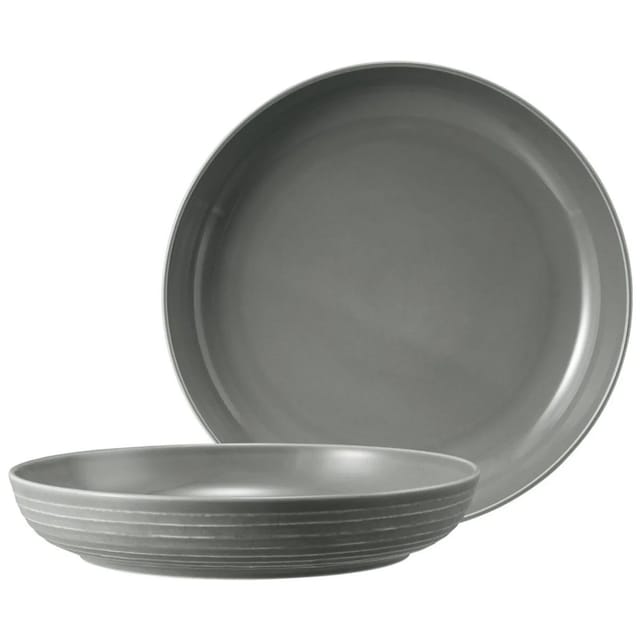 Seltmann Weiden Terra Foodbowl 28,4 cm 2er Set Perlgrau
