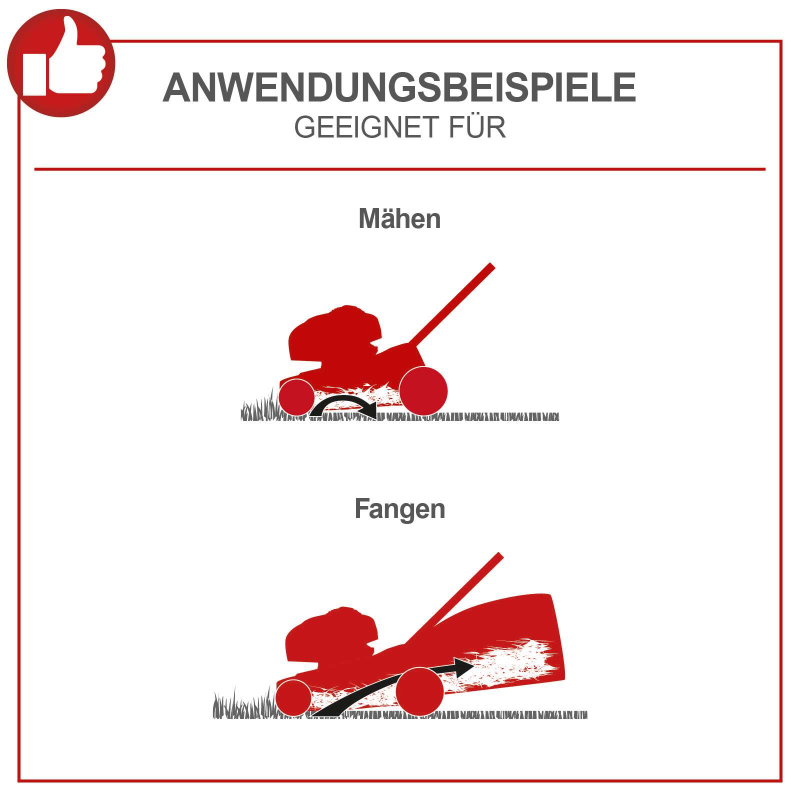 Elektro Rasenmäher ELM320 Scheppach - 230V 1300W | 32cm Schnittbreite | 30L Fangkorb | 20-60mm Schnitthöhe Bild 3