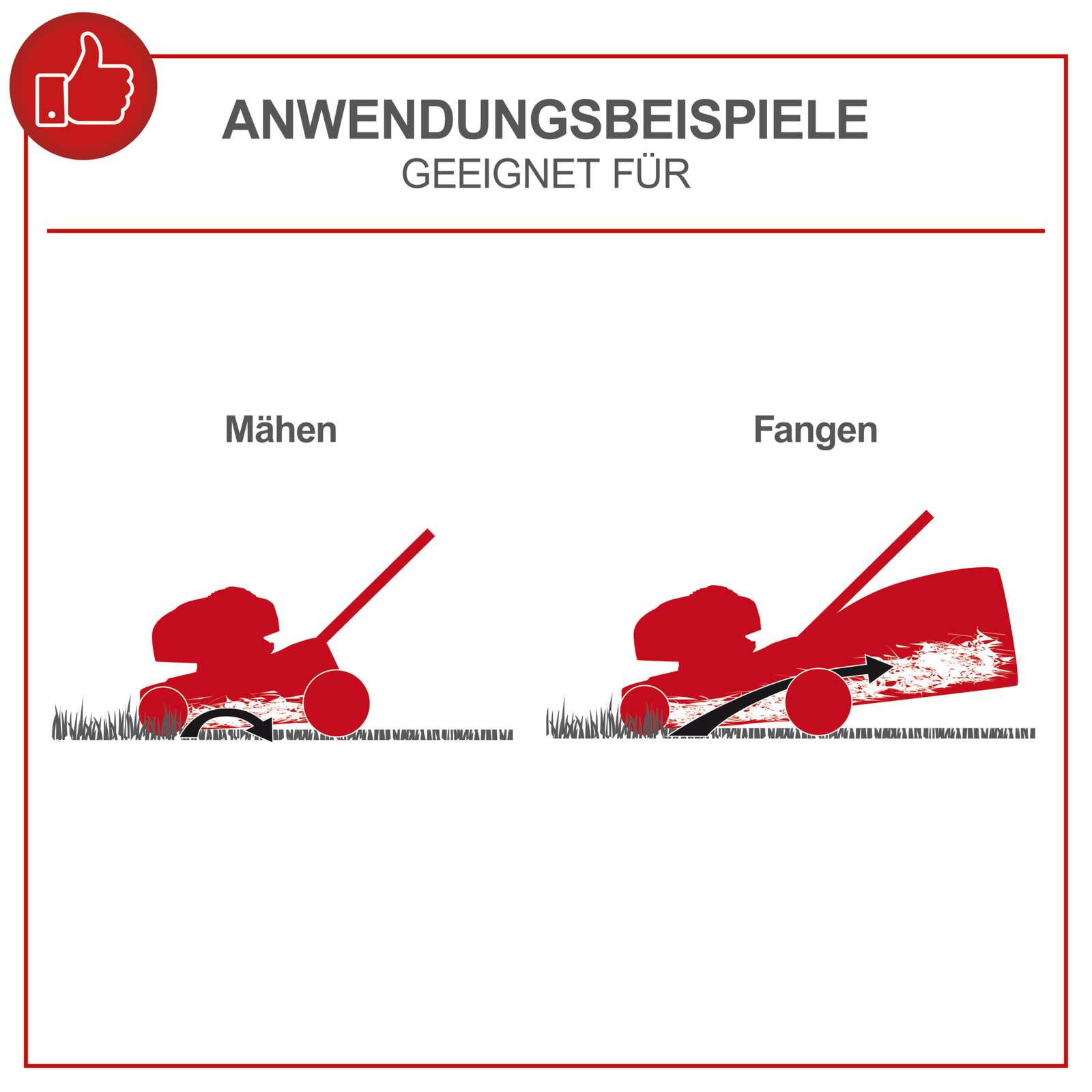 Benzin-Rasenmäher MP132-42 Scheppach - 3.4 PS | 42cm Schnittbreite | 45L Fangbox | Schnitthöhenverstellung | inkl. Motoröl Bild 3