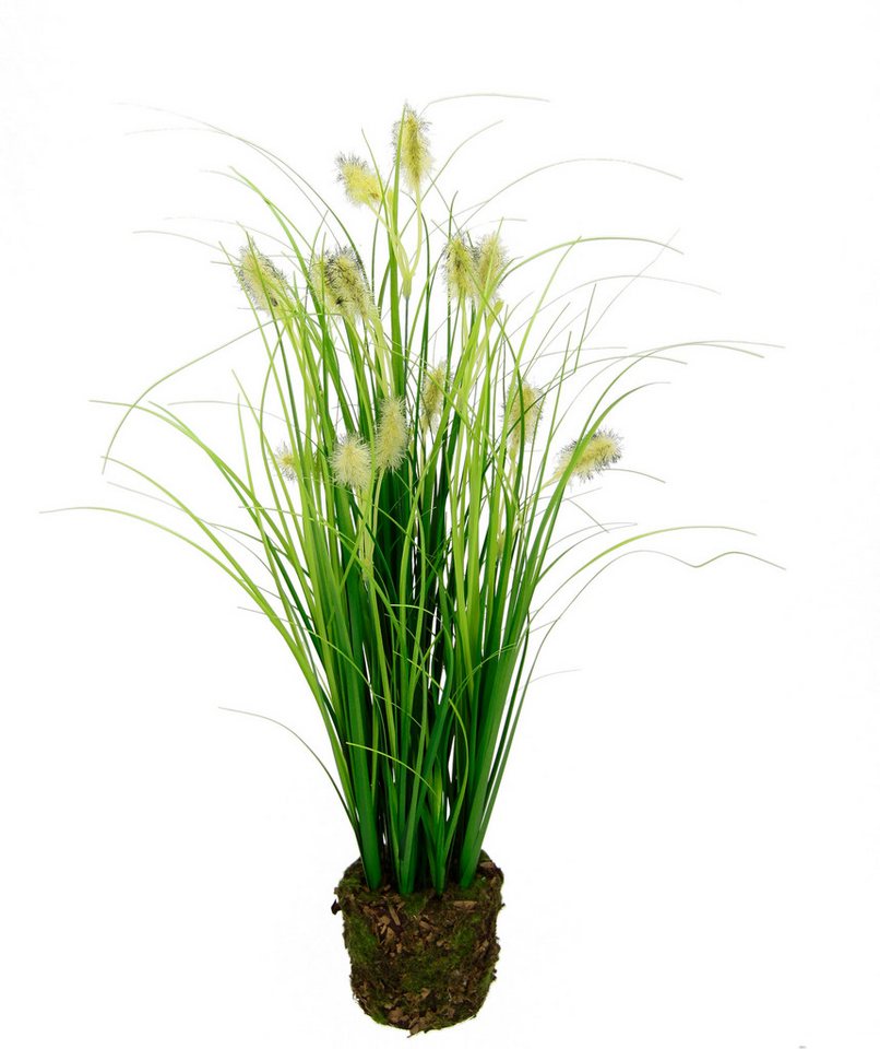 Kunstpflanze Fuchsschwanzgras im Erdtopf, I.GE.A., Höhe 46 cm, Grasbusch Kunstblume Dekogras