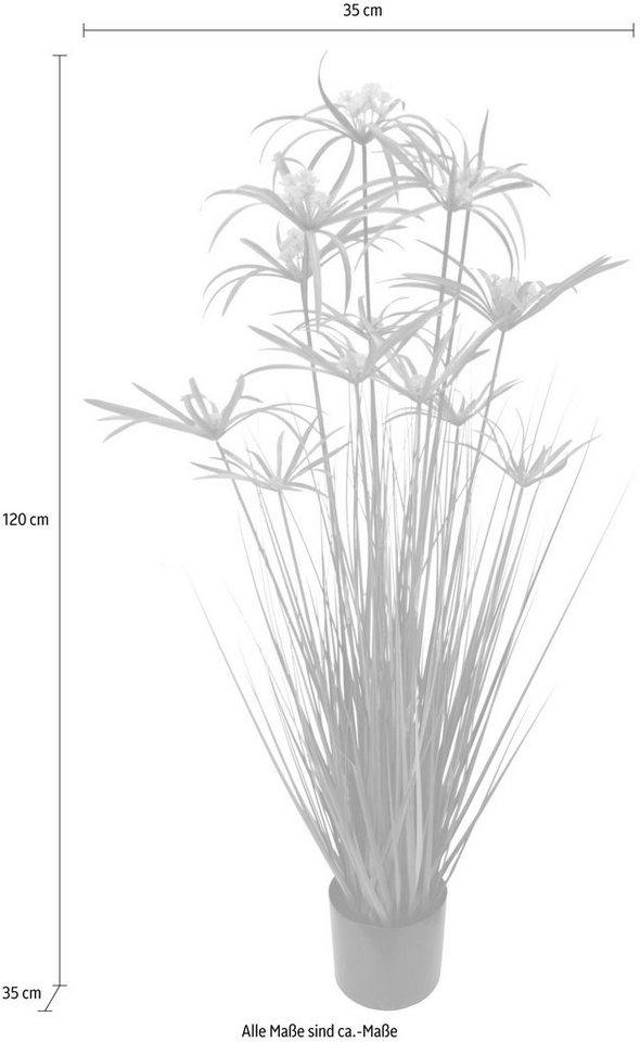 Kunstpflanze Zyperngras im Topf, I.GE.A., Höhe 120 cm Bild 3
