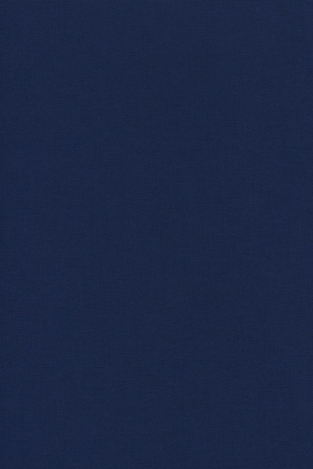 Rollo Basisrollo Tageslicht Dunkelblau, LYSEL®, blickdicht, HxB 175x82cm Bild 5