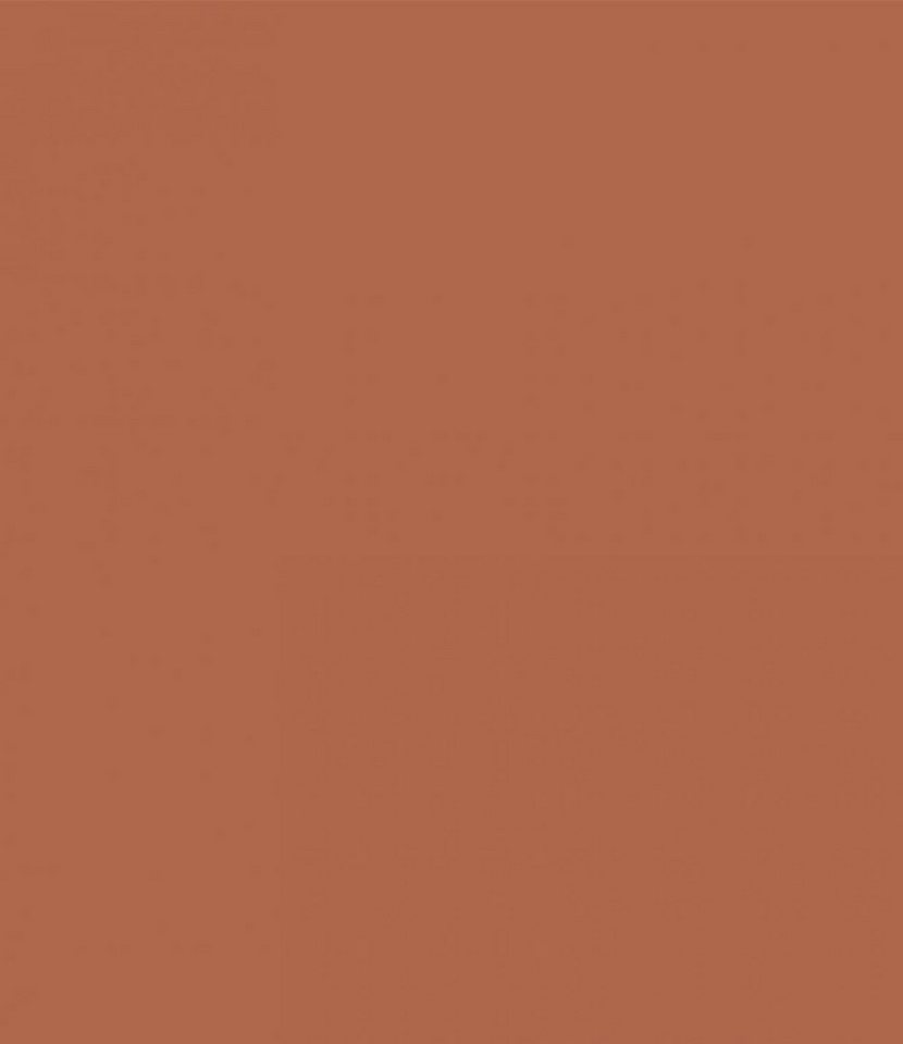 SCHÖNER WOHNEN FARBE Wandfarbe Schöner Wohnen Voll- und Abtönfarbe 250 ml terracotta Bild 2