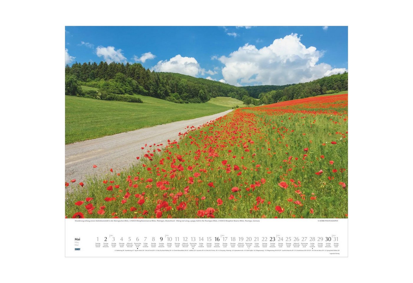 Wandkalender Wege in die Natur 2027 Bild 3
