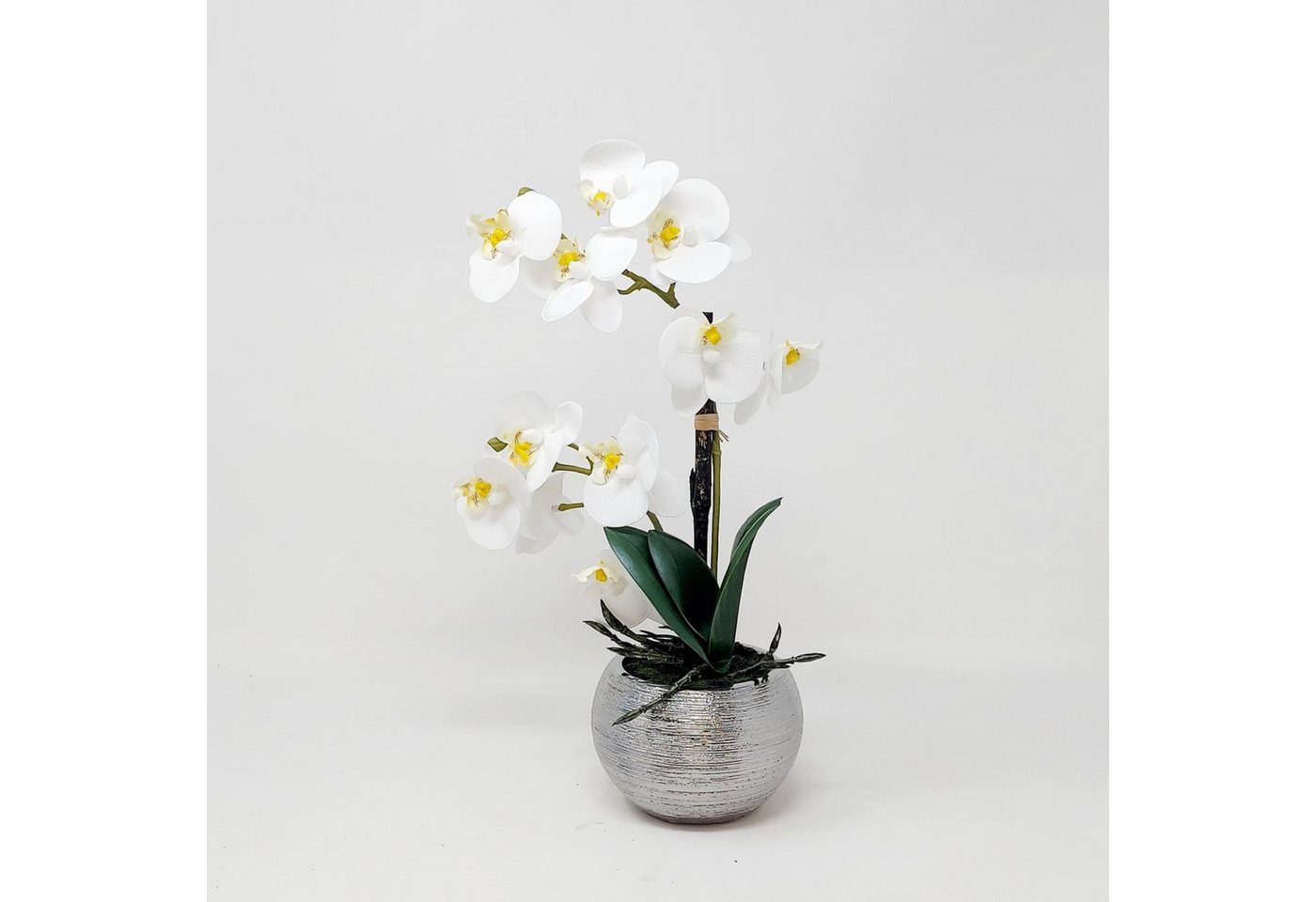 Künstliche Zimmerpflanze Orchidee, DPI, Höhe 30 cm, Farbe: Weiß