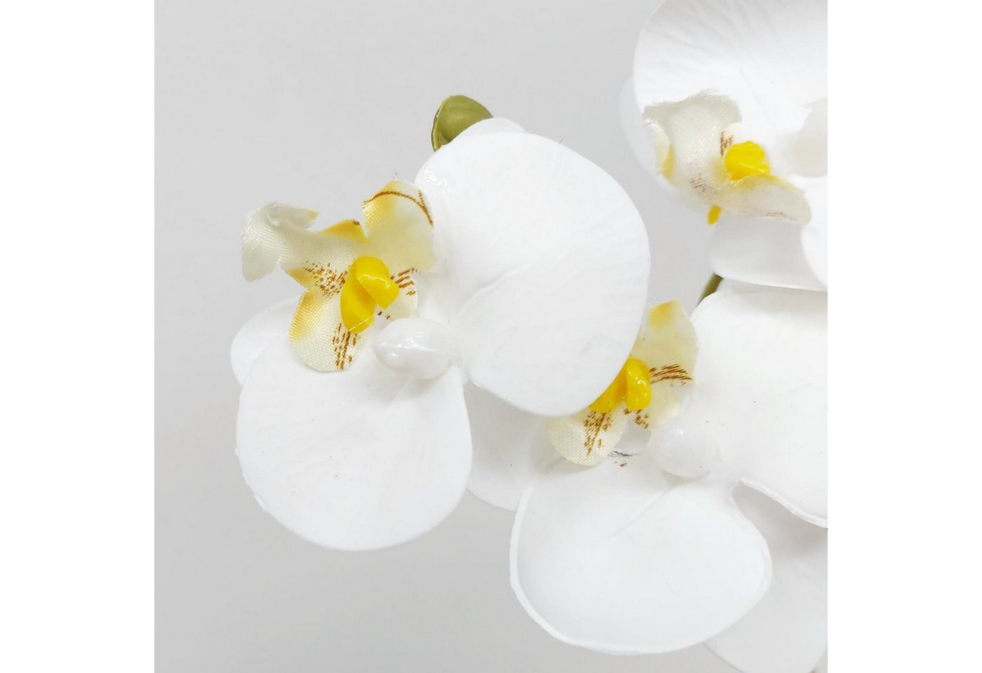 Künstliche Zimmerpflanze Orchidee, DPI, Höhe 30 cm, Farbe: Weiß Bild 2