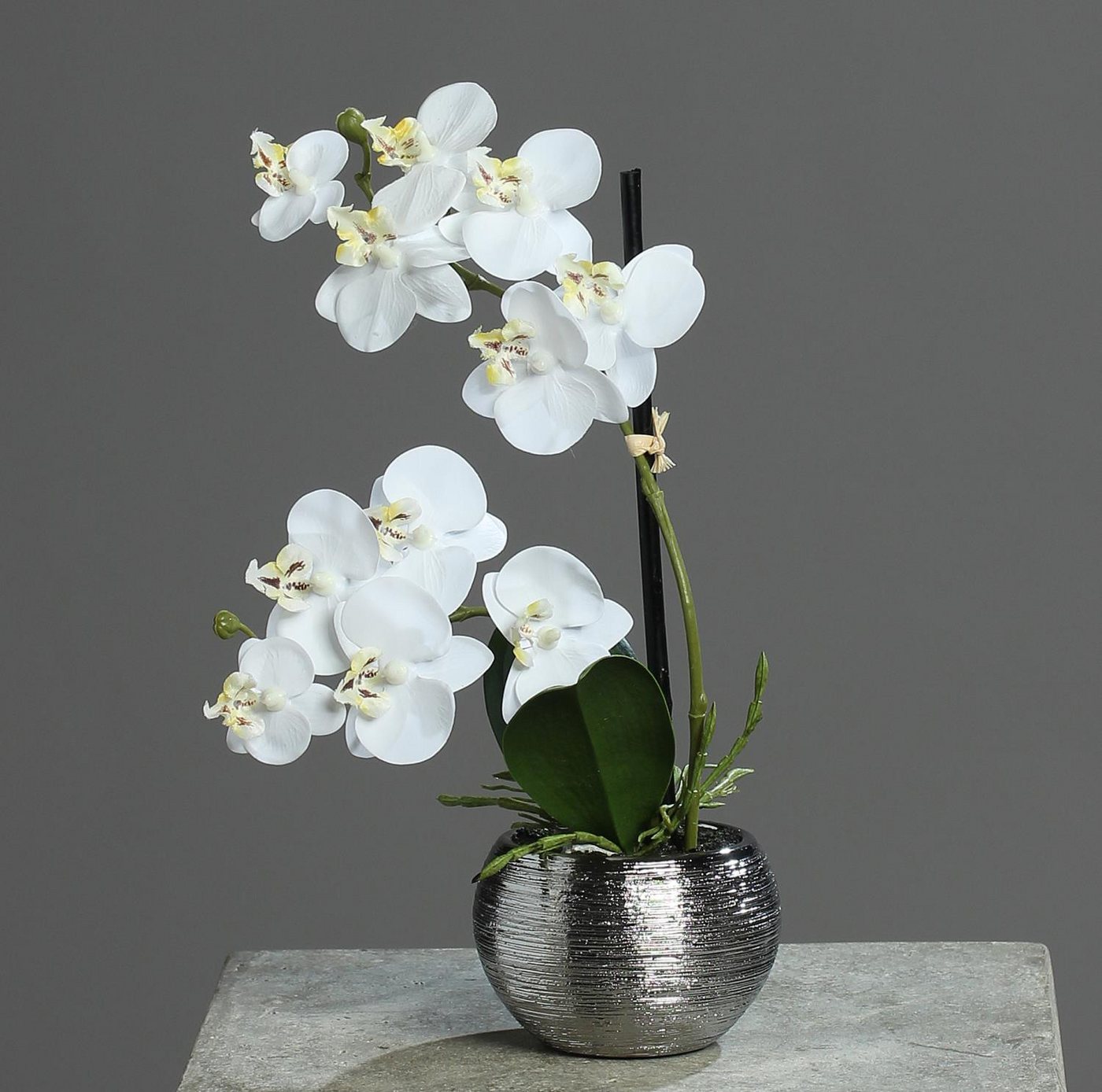 Künstliche Zimmerpflanze Orchidee, DPI, Höhe 30 cm, Farbe: Weiß Bild 3