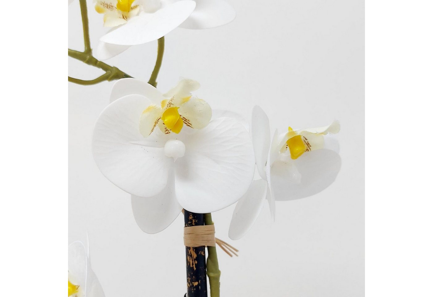 Künstliche Zimmerpflanze Orchidee, DPI, Höhe 30 cm, Farbe: Weiß Bild 5