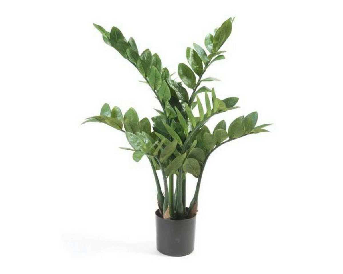Künstliche Zimmerpflanze Topfpflanze Zamioculcas, Emerald, Höhe 70 cm, Künstlich, Grün, Zamioculcas, H: 70cm Bild 3