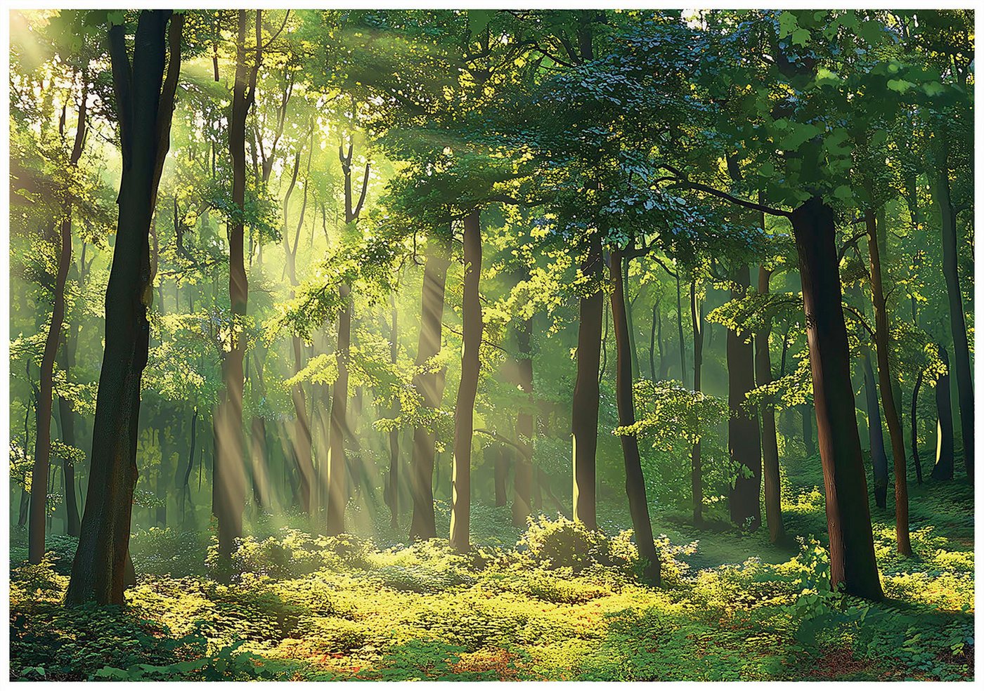 Wallarena Fototapete Wald Sonne - Mehrfarbig - Modern - Vlies - Schlafzimmer, glatt, (4 St), 200x140cm Bild 2
