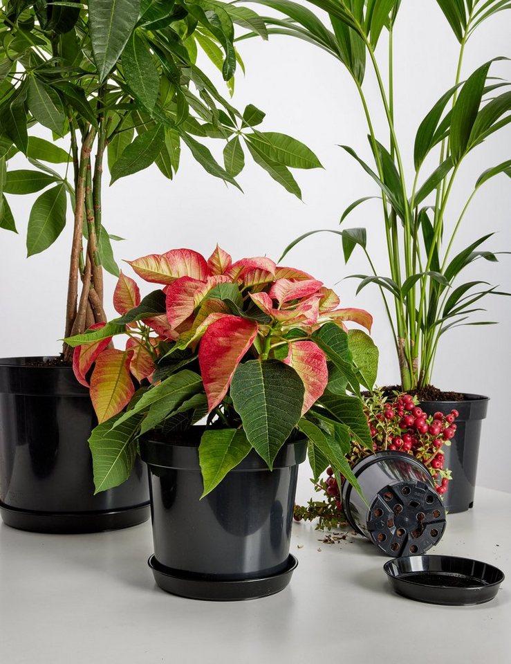 Garronda Blumentopf Kunststoff rund Pflanztopf Kräutertopf Anzuchttopf für Garten GD-0025 (10 St) Bild 5