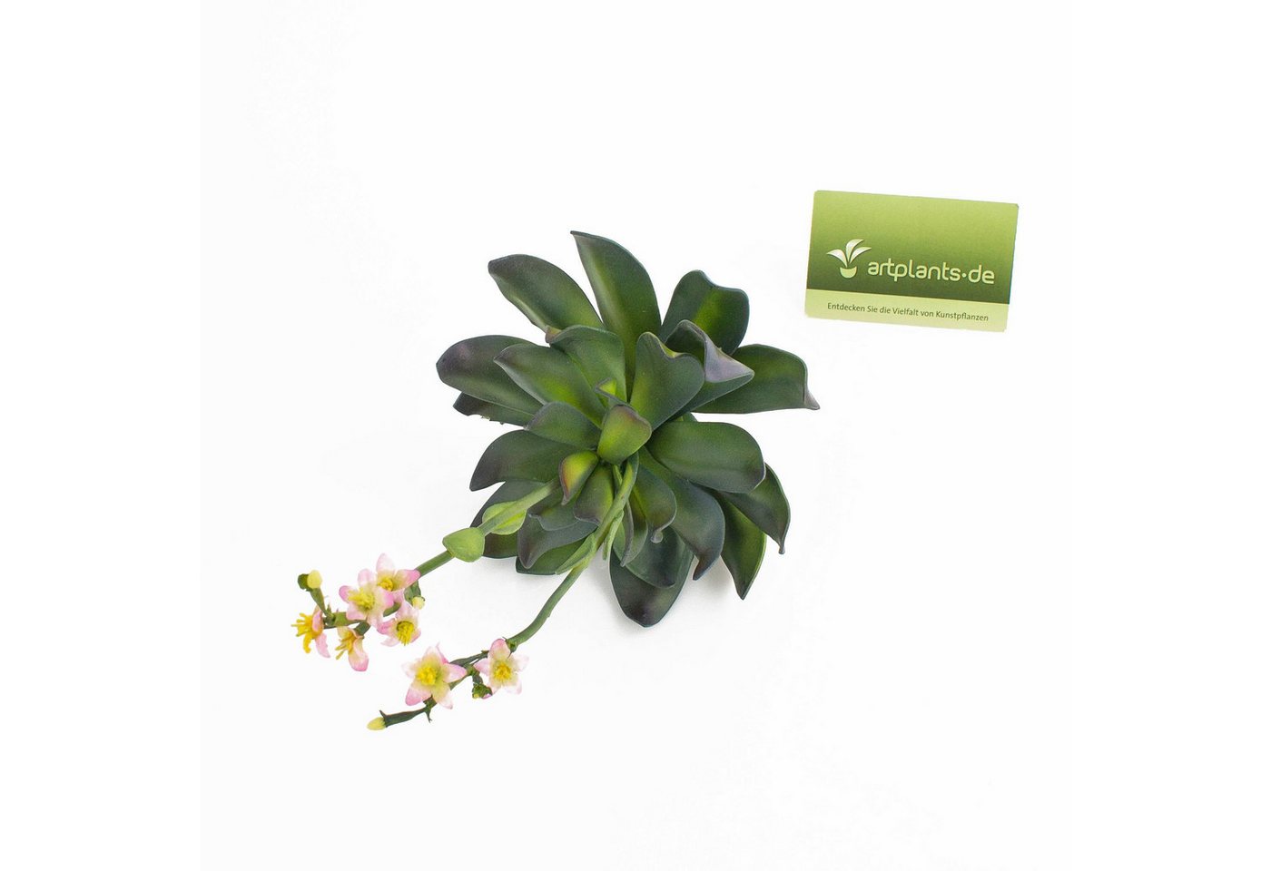 Kunstpflanze Aeonium auf Steckstab, rosa Blüten, 30cm - Künstliche Sukkulente Aeonium, artplants, Höhe 30.0 cm