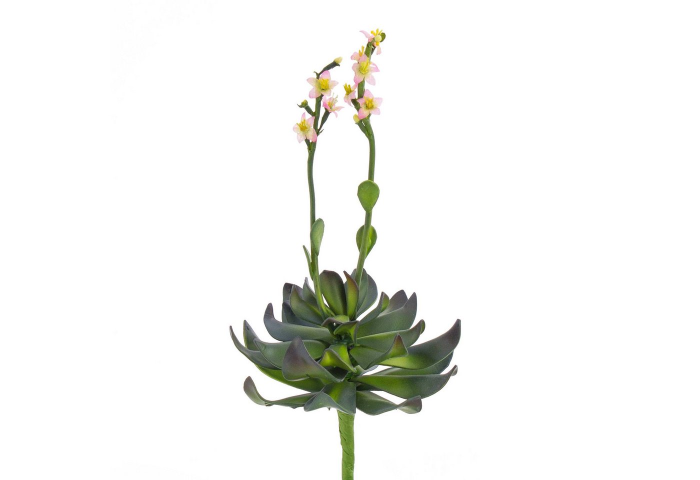 Kunstpflanze Aeonium auf Steckstab, rosa Blüten, 30cm - Künstliche Sukkulente Aeonium, artplants, Höhe 30.0 cm Bild 2