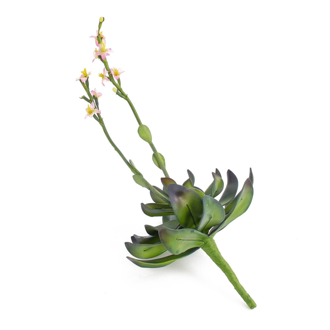 Kunstpflanze Aeonium auf Steckstab, rosa Blüten, 30cm - Künstliche Sukkulente Aeonium, artplants, Höhe 30.0 cm Bild 3