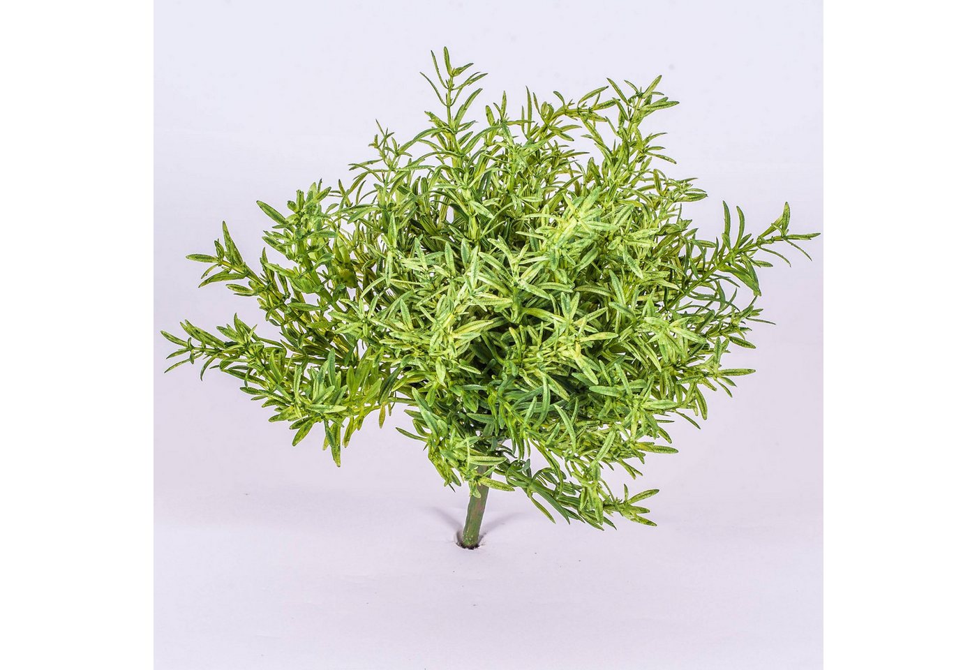 Kunstpflanze Künstlicher Rosmariebusch auf Steckstab, 20cm - Kunstkraut Rosmarin, artplants, Höhe 20.0 cm