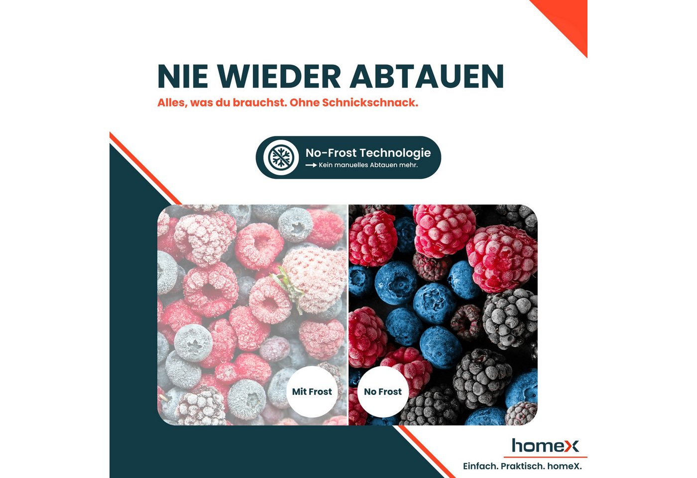 homeX Kühl-/Gefrierkombination CFSN2531C-B, 181 cm hoch, 54.5 cm breit, No Frost, 253 Liter, Kühlschrank mit Gefrierfach, freistehend, groß Bild 5