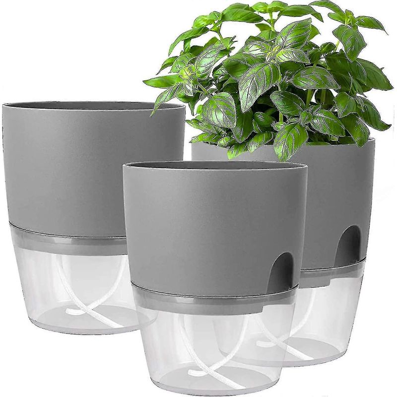 Set Mit 3 Selbstbewässernden Kräutertöpfen, Grau