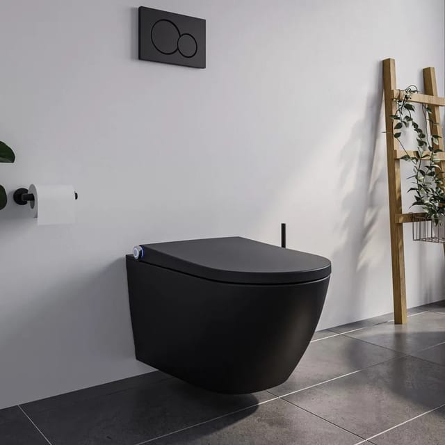 Bernstein DUSCH-WC PREMIUM 1102 Schwarz Matt Komplettset mit Entkalkungsfunktion