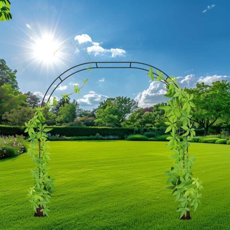 Rosenbogen, Metallspalier, Garten, Höhe: 250 Cm, 2 Breiten: 235 Oder 180 Cm, Kletterpflanzen, Schwarz