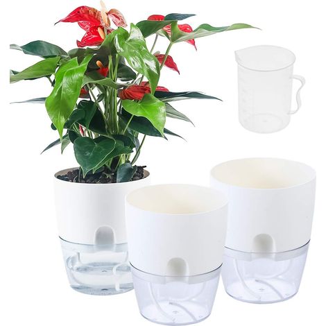 Set Aus 3 Selbstbewässernden 15 Cm (6 Zoll) Großen Blumentöpfen Für Zimmerpflanzen Aus Kunststoff Mit Integrierter Gießflasche.